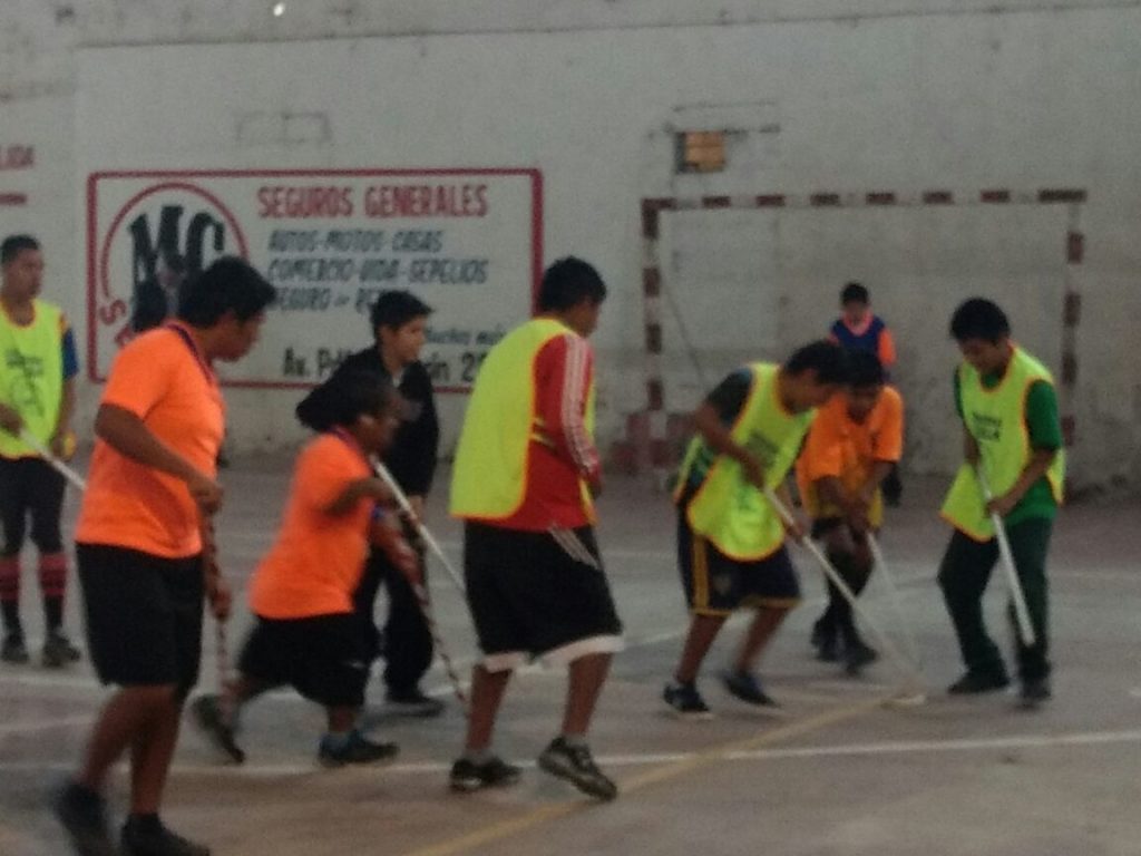 Hockey adaptado