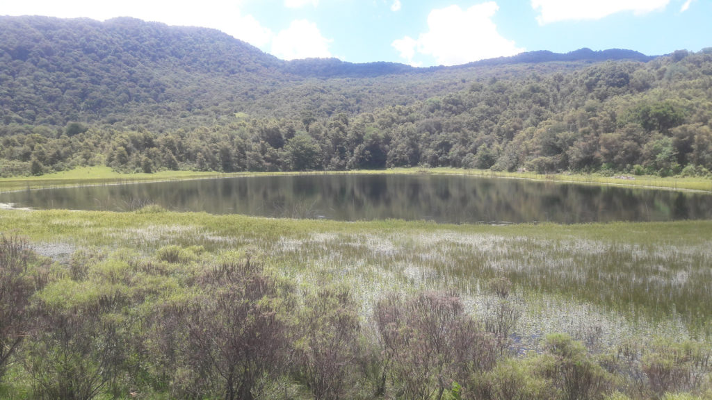 laguna de tesorero