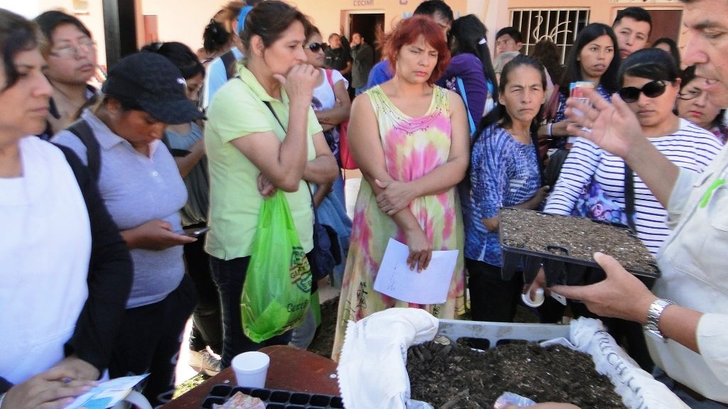 Asistentes al taller sobre la siembra de almácigos