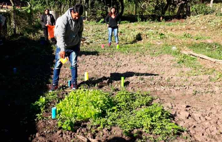 Continúan-promoviendo-técnicas-orgánicas-en-huertas-escolares-y-comunitarias